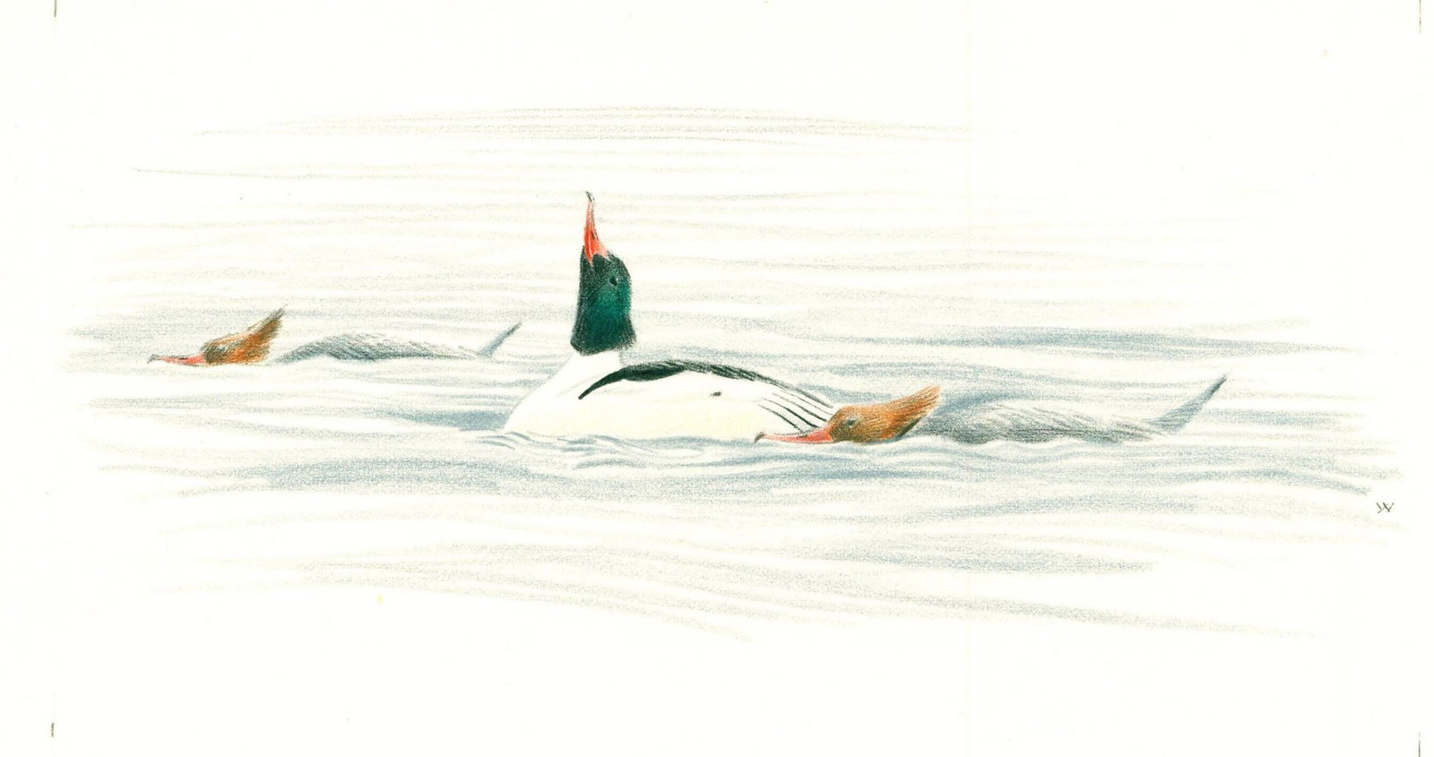 Michael Warren (UK,1938-?) colored pencil painting (1 of 11)