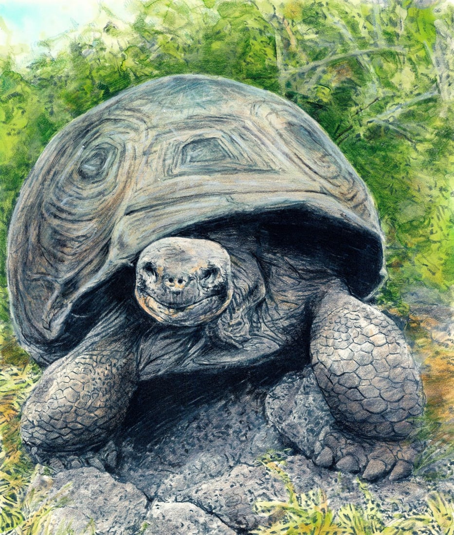 Chris Calle (CT,b 1961) colored pencil painting (1 of 14)