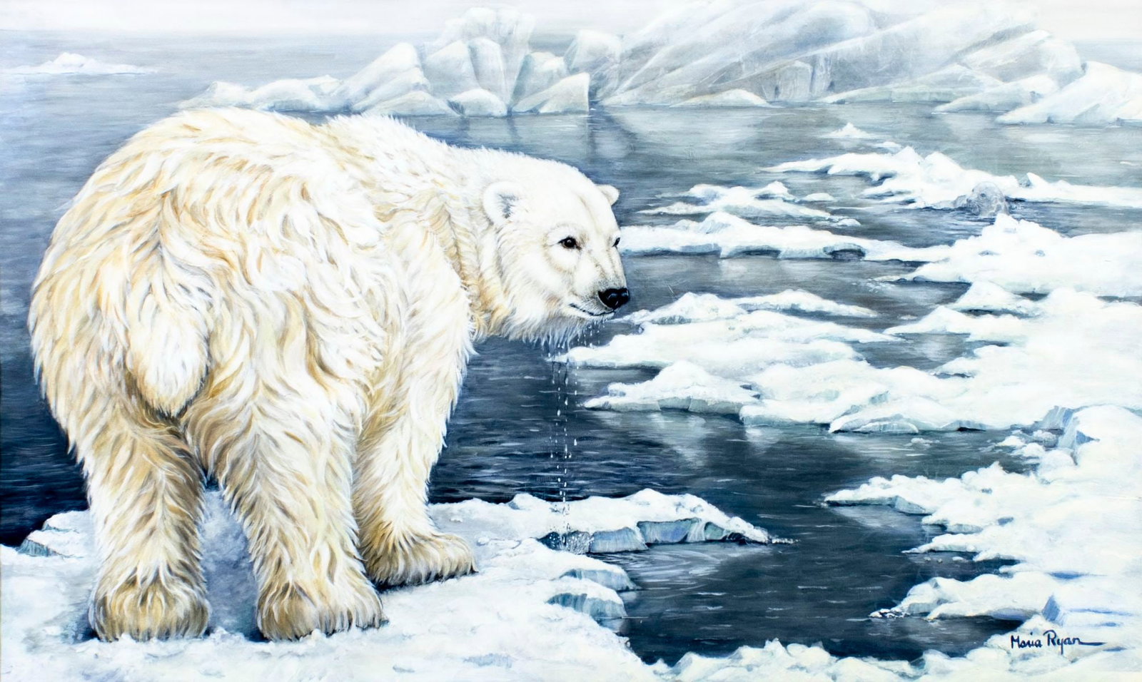 Maria Ryan (ID,20C) oil painting: ARTIST: Maria Ryan (Idaho, 20 century) TITLE: Polar Prowl - Polar Bear and Ring Seal (titled on verso) MEDIUM: oil on heavy paper CONDITION: Very good. No visible inpaint un