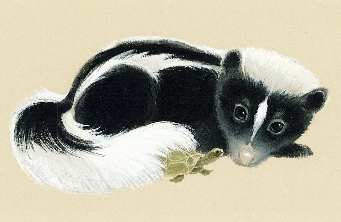 Deborah Bell Jarratt (PA,20/21C) gouache painting: ARTIST: Deborah Bell Jarratt (Pennsylvania, 20/21 centuries) TITLE: Skunk YEAR: 1980s MEDIUM: gouache on board CONDITION: Overall good. ART SI