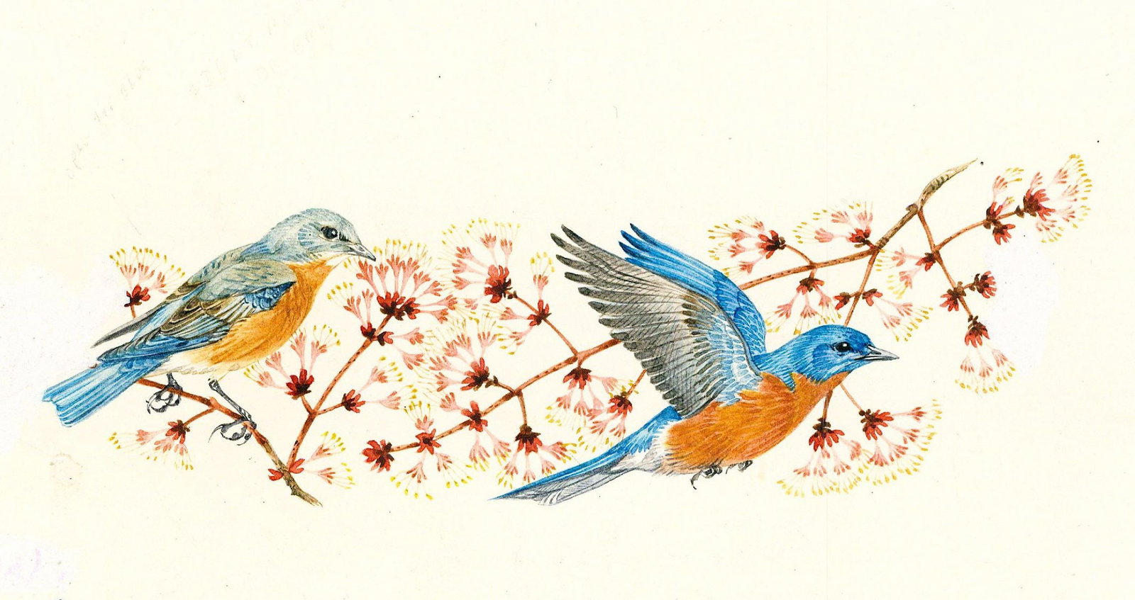 Robin Hill (VA,DC,UK,Australia,1932-?) watercolor painting (1 of 11)