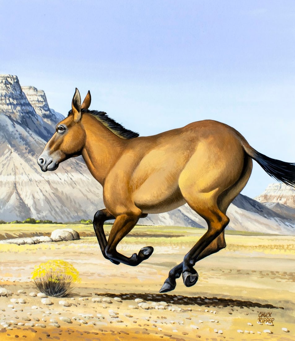 Chuck Ripper (WV,PA,1929-2019) gouache painting: ARTIST: Chuck Ripper (West Virginia, Pennsylvania, 1929 - 2019) TITLE: Przewalskis Wild Horse (titled on verso) YEAR: 1997 MEDIUM: gouache on board CONDITION:</