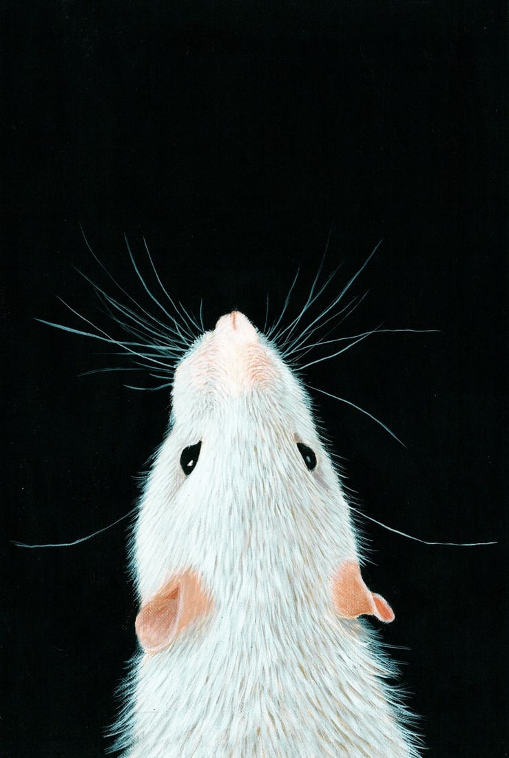 Lyudmila Dolgacheva (Ukraine,20/21C) oil painting: ARTIST: Lyudmila Dolgacheva (Ukraine, 20/21 centuries) TITLE: White Mouse MEDIUM: oil on heavy paper CONDITION: Very good. No visible inpaint under UV light. ART