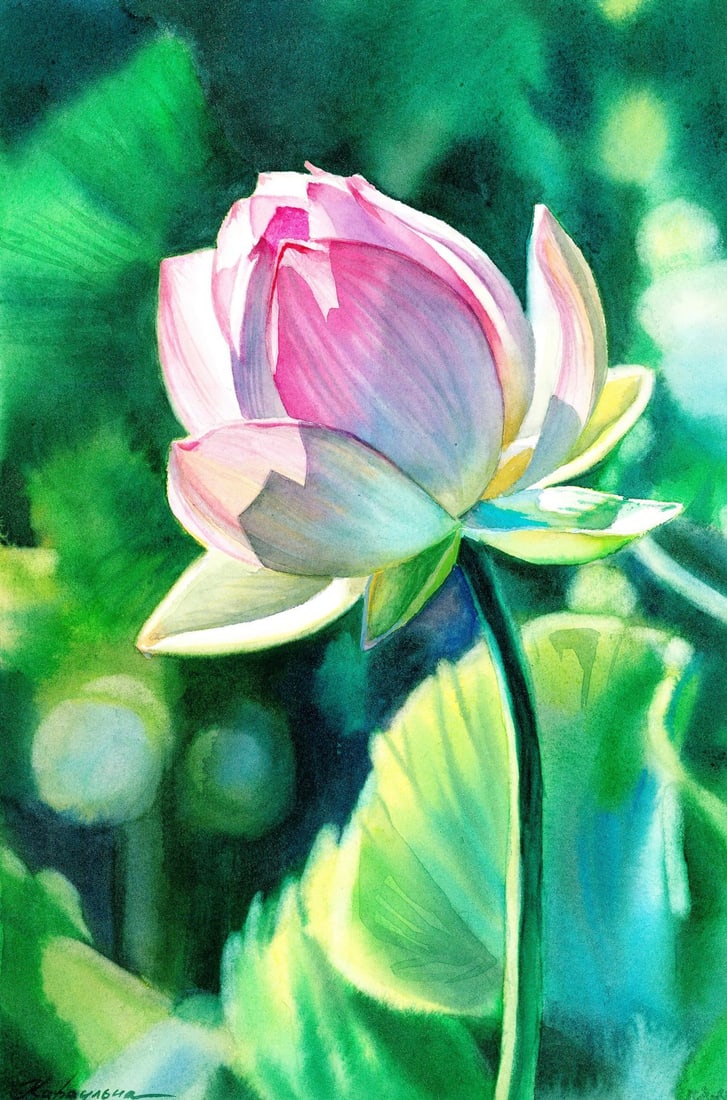 Aleksandra Karaulna (Ukraine,b 1996) watercolor painting: ARTIST: Aleksandra Karaulna (Ukraine, born 1996) TITLE: Still Life with Lotus MEDIUM: watercolor on heavy paper CONDITION: Very good. ART SIZE: 12 x 8 in