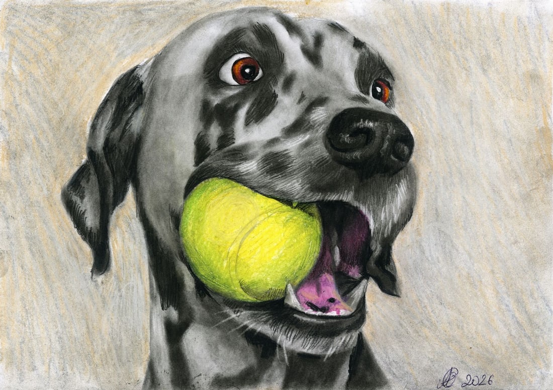 Julia Abramova (Ukraine,20/21C) pastel painting: ARTIST: Julia Abramova (Ukrainian, 20/21 centuries) TITLE: Dog with Tennis Ball MEDIUM: pastel on paper CONDITION: Very good. ART SIZE: 8 x 12 inches / 2