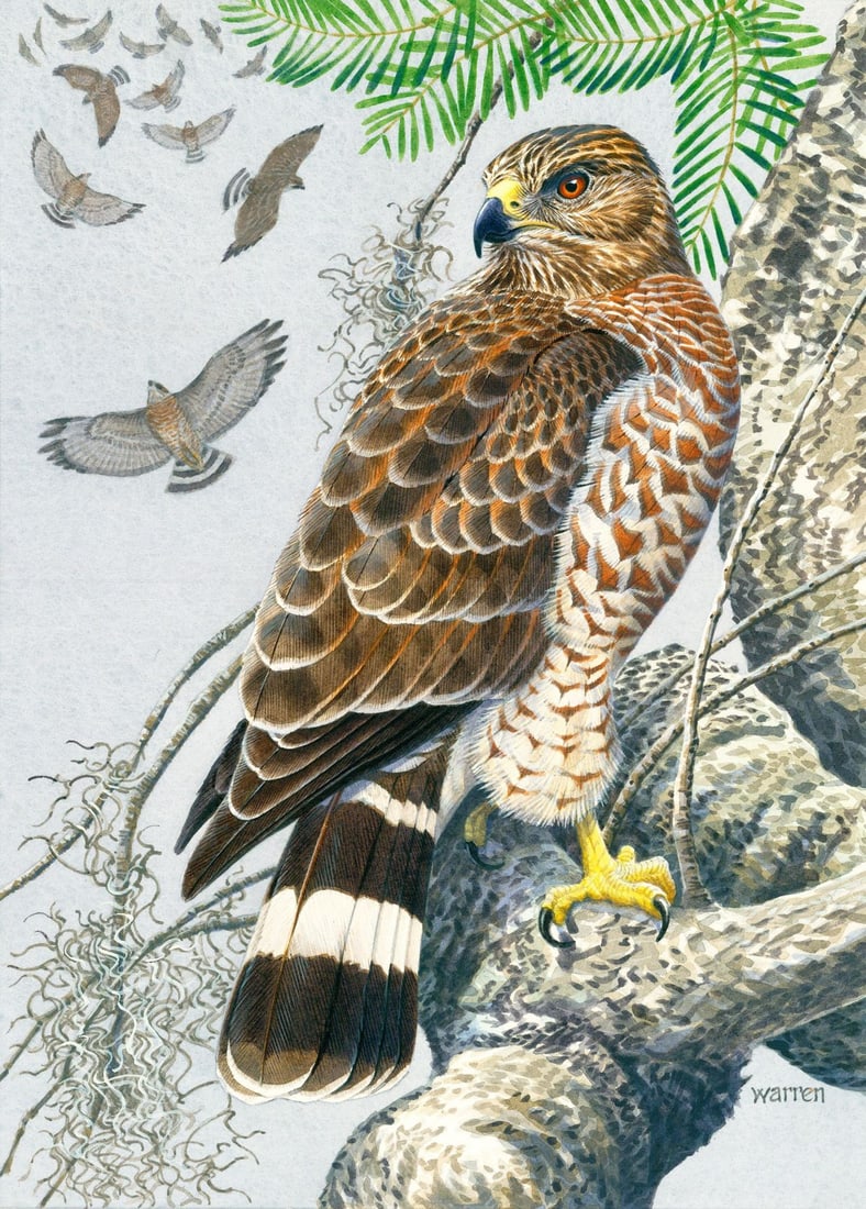 Michael Warren (UK,1938-?) watercolor painting (1 of 13)