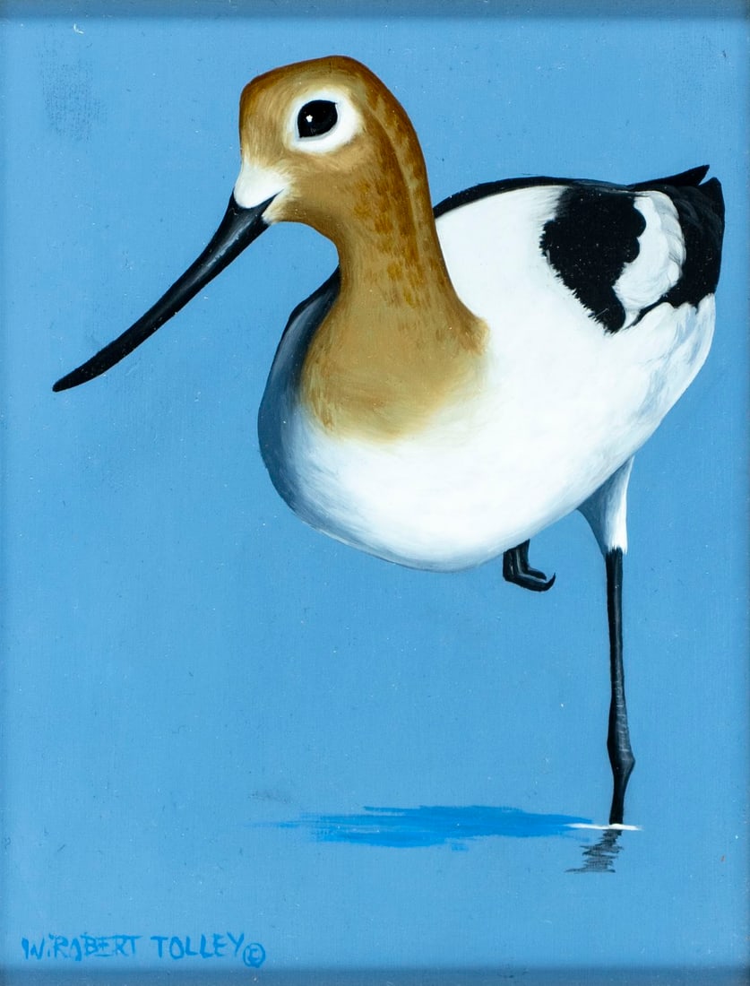 W Robert Tolley (MD,1934-2017) oil painting: ARTIST: W Robert Tolley (Maryland, 1934 - 2017) TITLE: American Avocet Bird MEDIUM: oil on board CONDITION: Very good. No visible inpaint under UV light. Wear to frame.