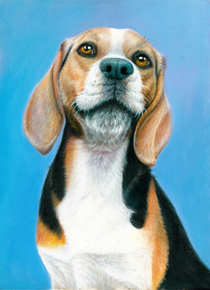 Attchai Cherehon (Thai,b 1980) oil painting: ARTIST: Attchai Cherehon (Thailand, born 1980) TITLE: Beagle Dog MEDIUM: oil on canvas CONDITION: Unstretched (In-House stretching available). Very good. No visible inpaint.