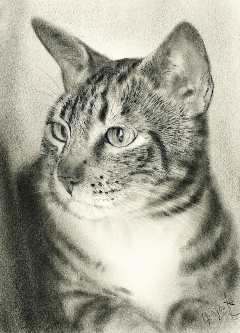Vintage 20C pastel painting signed: ARTIST: - (20 century) TITLE: Cat MEDIUM: pastel on paper CONDITION: Very good. ART SIZE: 12 x 8 inches / 30 x 20 cm FRAME SIZE: unfr