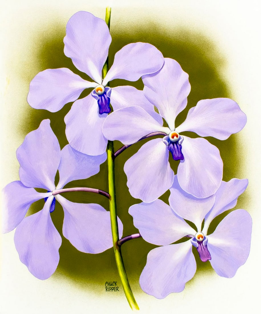 Chuck Ripper (WV,PA,1929-2019) gouache painting (1 of 13)