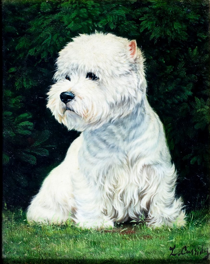 Laura E Cassidy (US,20C) oil painting: ARTIST: Laura E Cassidy (American, 20 century) TITLE: West Highland White Terrier Dog MEDIUM: oil on board CONDITION: Few very minor paint losses. No visible inpaint under U