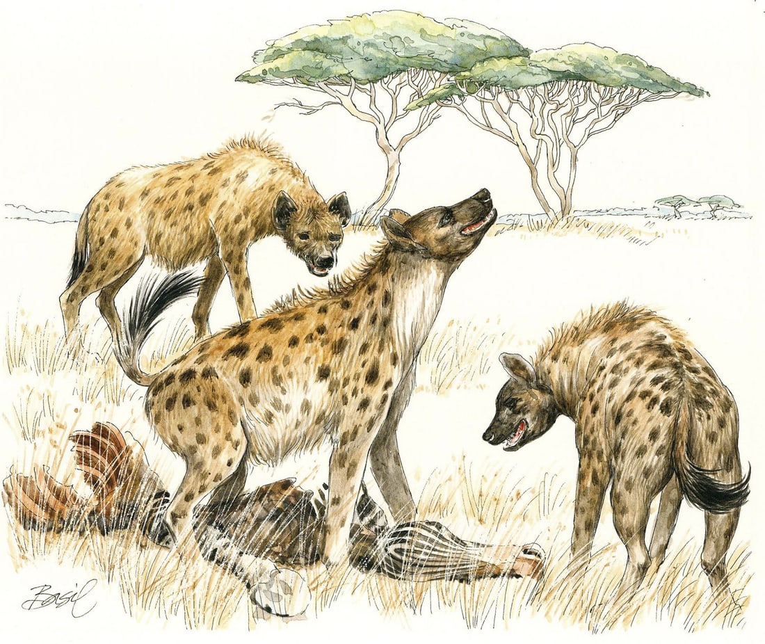 Basil Smith (UK,1925-2010) watercolor painting: ARTIST: Basil Smith (United Kingdom, 1925 - 2010) TITLE: Uganda - Spotted Hyena (titled on verso) YEAR: 1993 MEDIUM: watercolor on board CONDITION: Ver