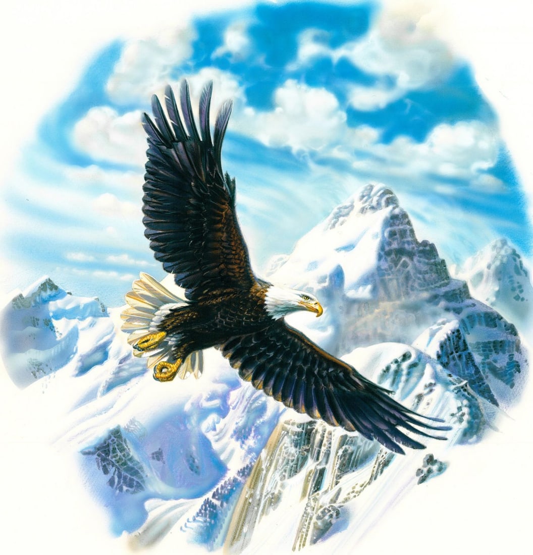 William Teodecki (MD,20C) gouache painting: ARTIST: William G Teodecki (Maryland, 20 century) TITLE: Flying Bald Eagle Bird (titled on verso) YEAR: 1980s MEDIUM: gouache on heavy paper CONDITION: M