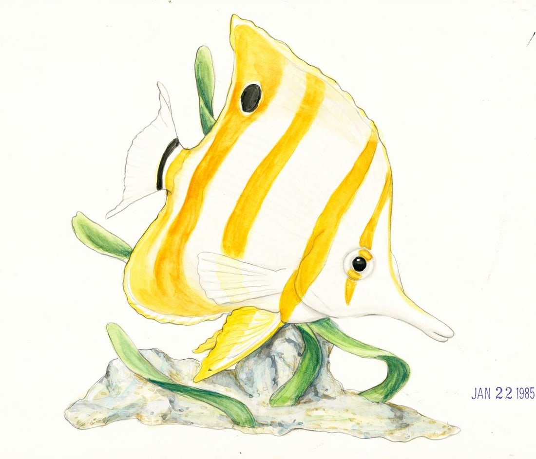 Vintage 20C watercolor painting: ARTIST: - (American, 20 century) TITLE: Copperband Butterflyfish YEAR: 1985 MEDIUM: watercolor on paper CONDITION: Overall good. ART SIZE:</