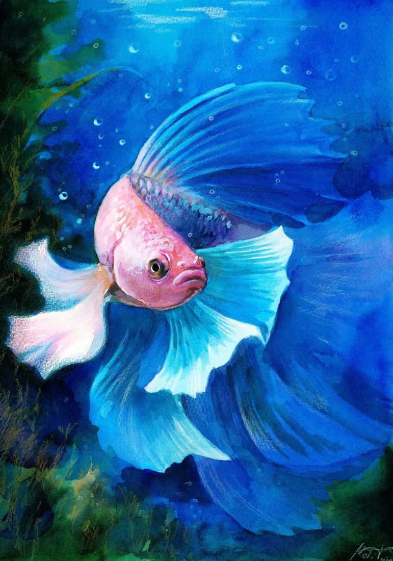 Tatiana Moiseenko (Ukraine,b 1997) watercolor painting: ARTIST: Tatiana Moiseenko (Ukraine, born 1997) TITLE: Betta Fish MEDIUM: watercolor on heavy paper CONDITION: Very good. ART SIZE: 13 x 9 inches / 33 x 2
