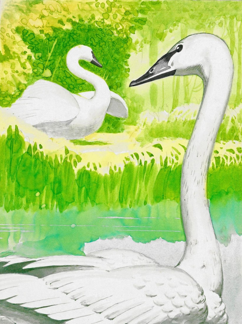 Alex Bloch (US,20C) watercolor painting: ARTIST: Alex Bloch (American, 20 century) TITLE: White Swans MEDIUM: watercolor on heavy paper CONDITION: Some age toning. ART SIZE: 8 x 6 inches / 20 x