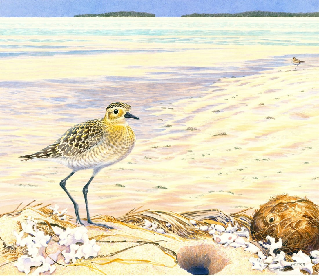 Michael Warren (UK,1938-?) watercolor painting (1 of 13)