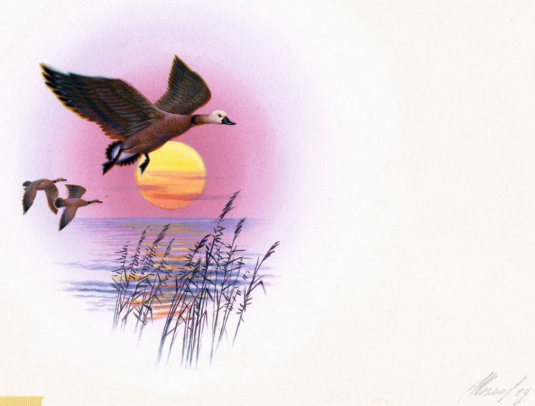 Ivan Kozlov (Russia,1937-?) gouache painting: ARTIST: Ivan Kozlov (Russian, 1937 - ???) TITLE: Ruddy Shelduck (titled on verso) YEAR: 1989 MEDIUM: gouache on paper. Paper applied to board. CONDITION: