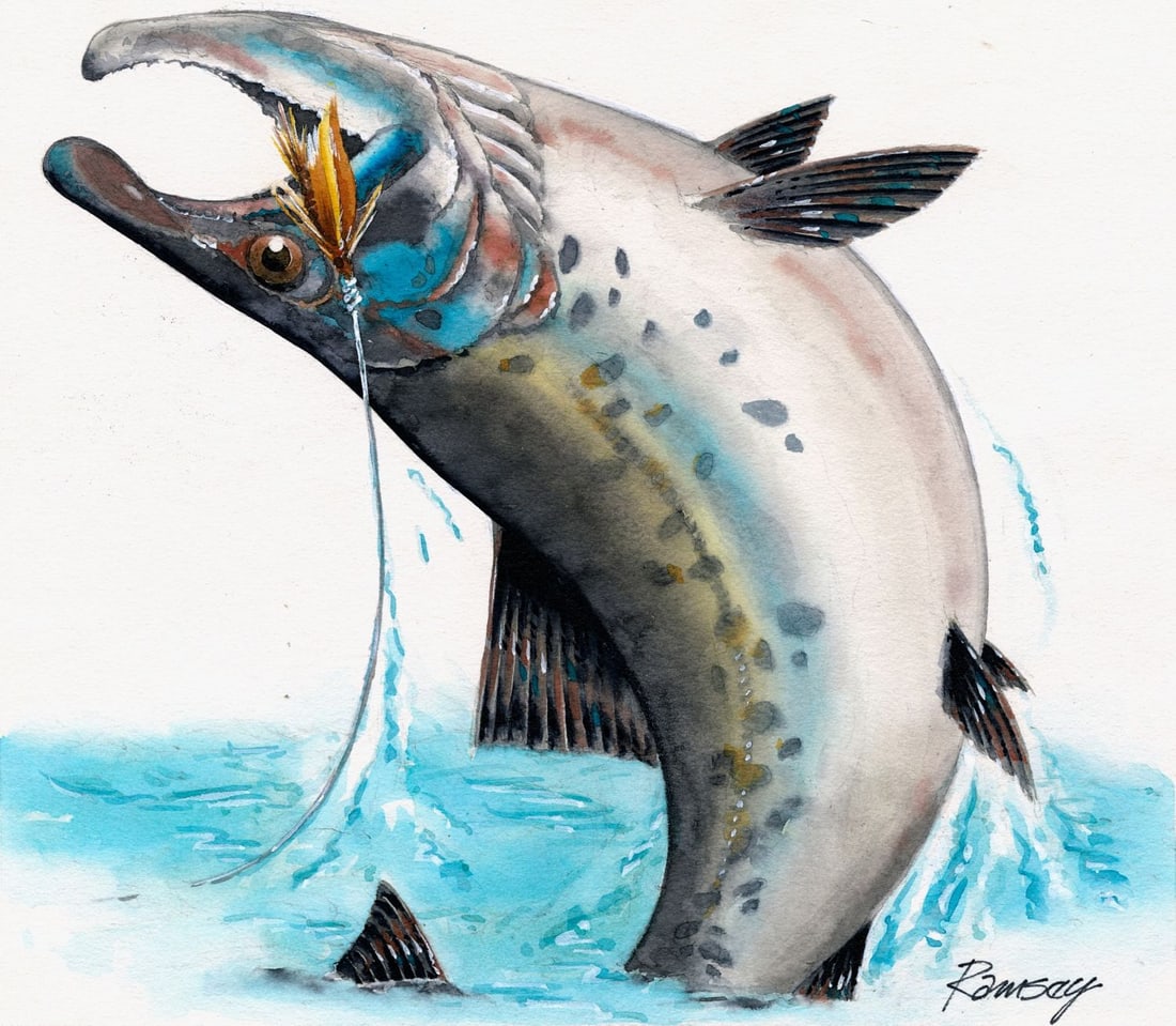 Bill Ramsey (US,b 1951) watercolor painting: ARTIST: Bill Ramsey (American, born 1951) TITLE: Transkei Fishing Flies - Atlantic Salmon (titled on verso) YEAR: 1981 MEDIUM: watercolor on board CONDITION: