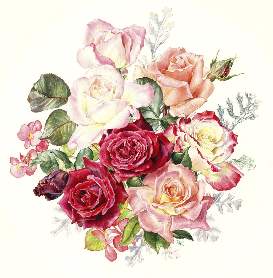 Rosanne Sanders (UK,20/21C) watercolor painting: ARTIST: Rosanne Sanders (United Kingdom, 20/21 centuries) TITLE: Rose Plate (titled on verso) YEAR: 1988 MEDIUM: watercolor on heavy paper CONDITION: Som