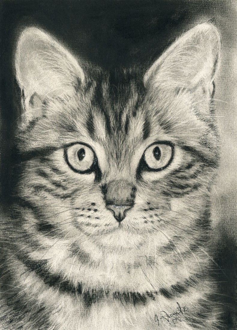 Vintage 20C pastel painting signed: ARTIST: - (20 century) TITLE: Cat MEDIUM: pastel on paper CONDITION: Very good. ART SIZE: 12 x 8 inches / 30 x 20 cm FRAME SIZE: unfr