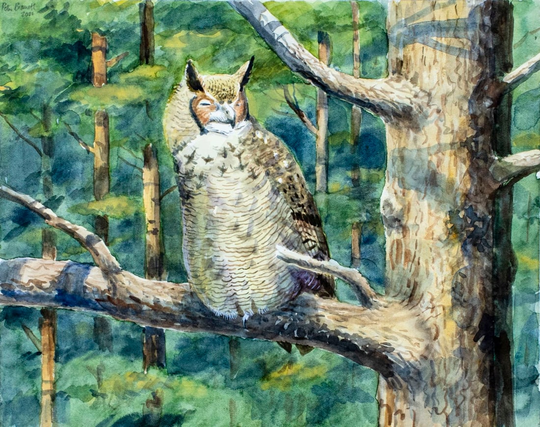 Peter Barrett (UK,b 1935) watercolor painting (1 of 12)