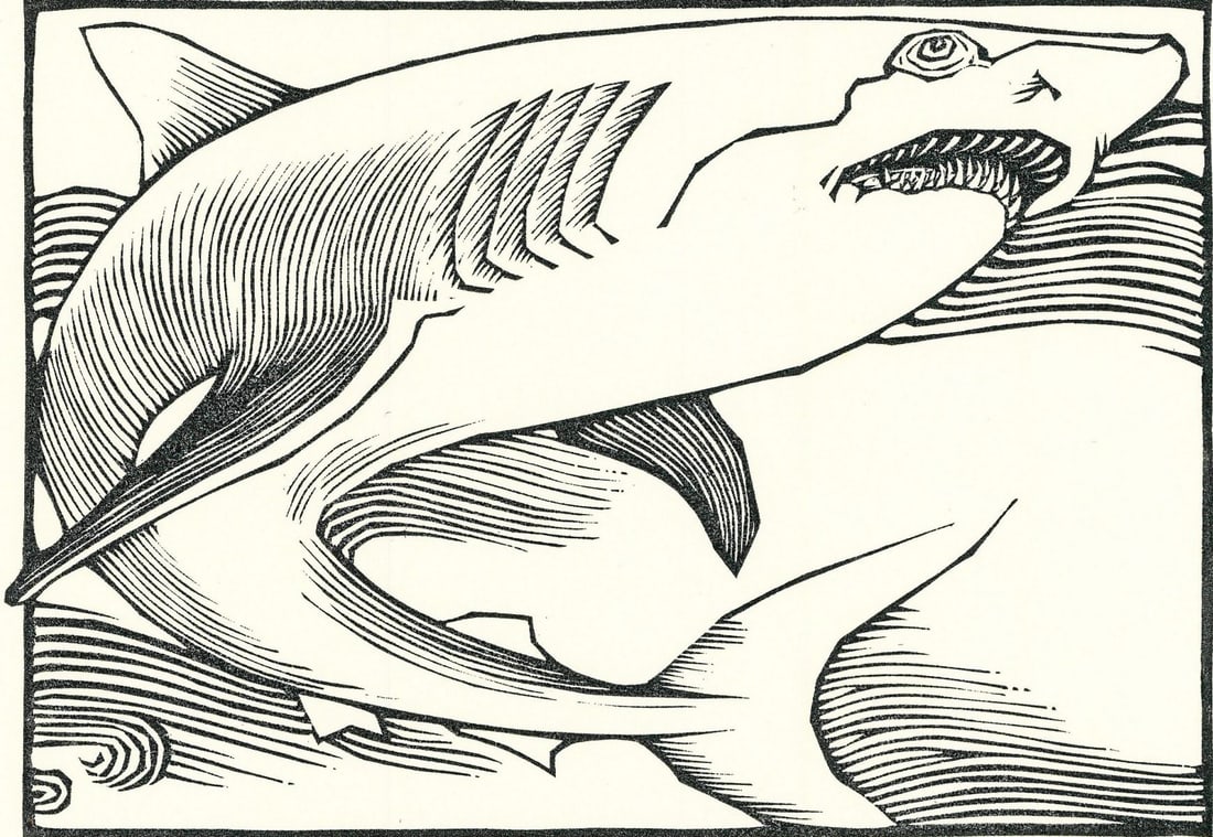 David Frampton (NY,NH,20/21C) woodblock print: ARTIST: David Frampton (New York, New Hampshire, 20/21 centuries) TITLE: Illustration - Shark Fish YEAR: 1980s MEDIUM: woodblock print on paper CONDITION: