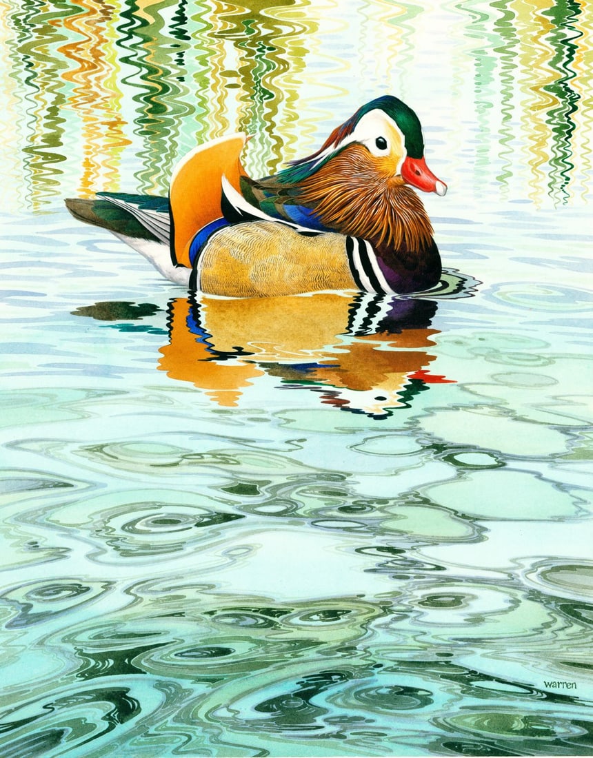 Michael Warren (UK,1938-?) watercolor painting: ARTIST: Michael Warren (United Kingdom, 1938 - ???) TITLE: Mandarin Duck YEAR: 1990s MEDIUM: watercolor on heavy paper CONDITION: Minor damages to corn