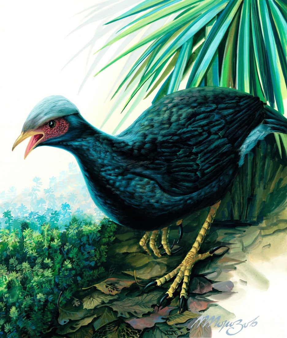 M Morozov (Russia,20C) gouache painting: ARTIST: M Morozov (Russian, 20 century) TITLE: Micronesian Megapode Bird (titled on verso) YEAR: 1989 MEDIUM: gouache on paper. Paper applied to board. CONDITION: