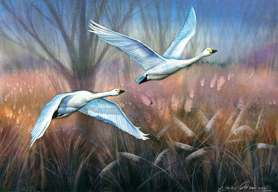 Mikhaylo Dmytriv (Ukraine,b 1997) watercolor painting: ARTIST: Mikhaylo Dmytriv (Ukraine, born 1997) TITLE: Two Flying Geese MEDIUM: watercolor on heavy paper CONDITION: Very good. ART SIZE: 9 x 13 inches / 2