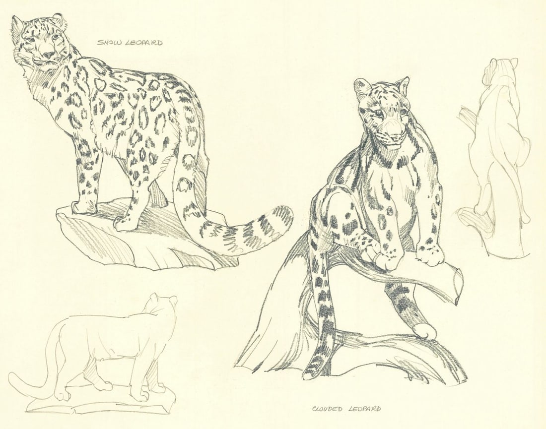 Nicholas Wilson (AZ,b 1947) graphite painting: ARTIST: Nicholas Wilson (Arizona, born 1947) TITLE: Big Cats - Clouded Leopard, Snow Leopard YEAR: 1980s MEDIUM: graphite on paper CONDITION: Minor foxin