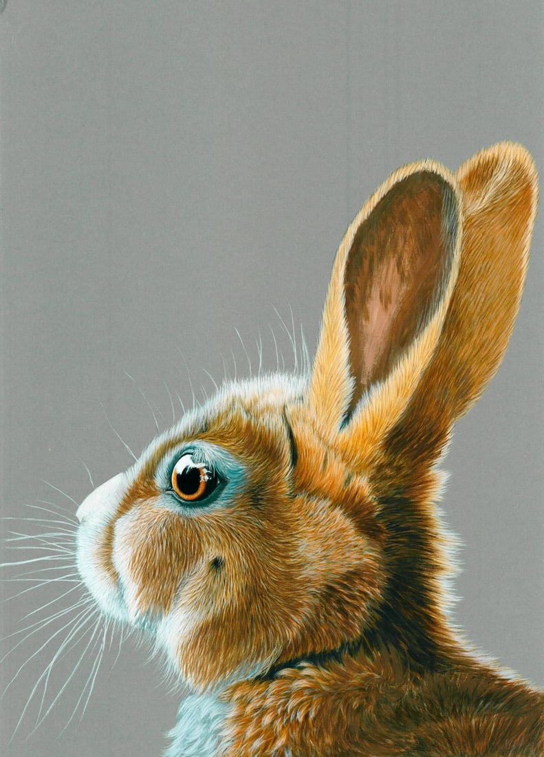 Lyudmila Dolgacheva (Ukraine,20/21C) acrylic painting: ARTIST: Lyudmila Dolgacheva (Ukraine, 20/21 centuries) TITLE: Rabbit MEDIUM: acrylic on heavy paper CONDITION: Very good. No visible inpaint under UV light. ART S