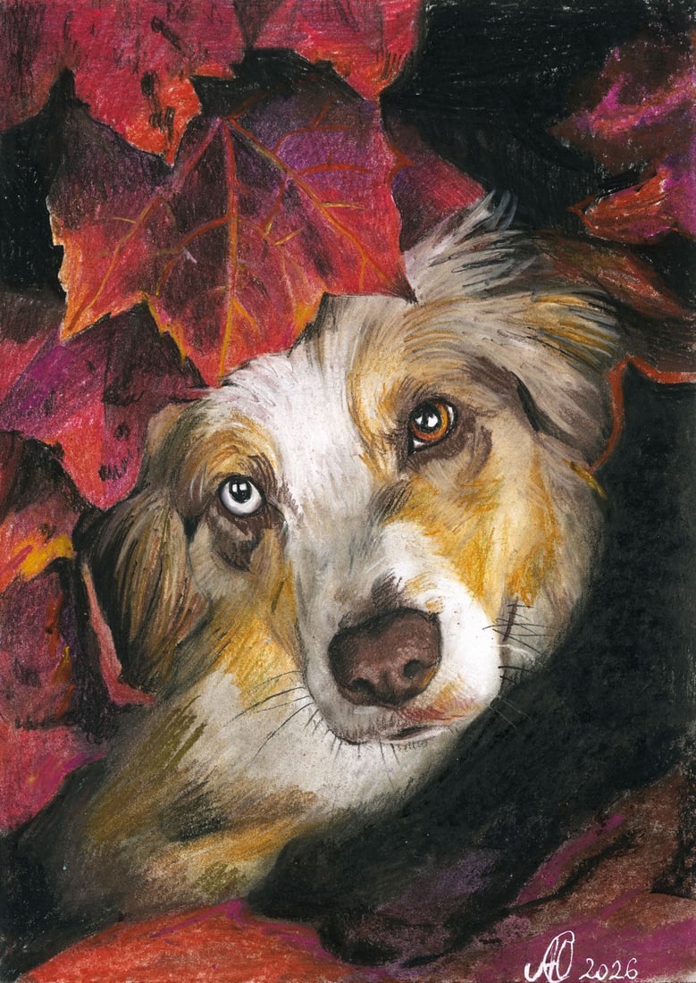 Julia Abramova (Ukraine,20/21C) pastel painting: ARTIST: Julia Abramova (Ukraine, 20/21 centuries) TITLE: Australian Shepherd Dog with Autumn Leaves MEDIUM: pastel on heavy paper CONDITION: Very good. ART SIZE:<