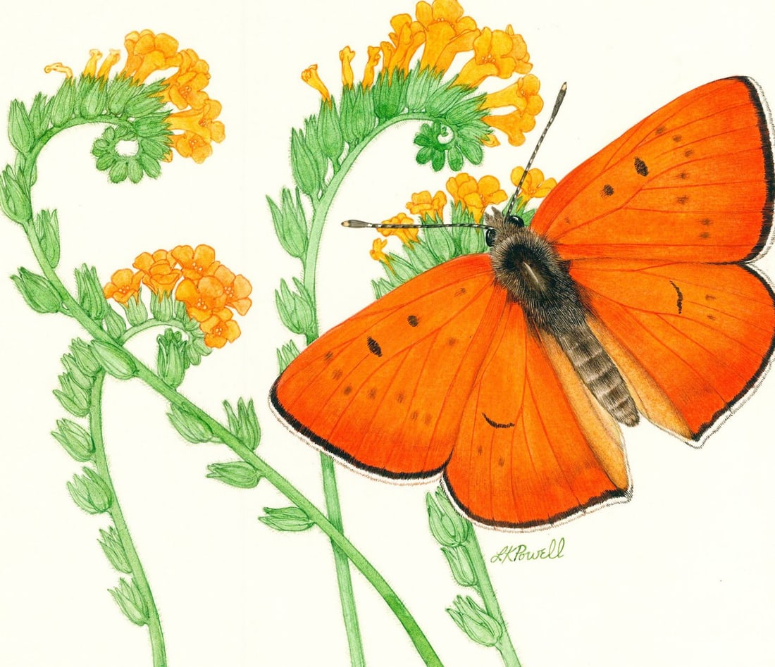 Linda Kay Powell (CO,1943-2004) watercolor painting (1 of 13)