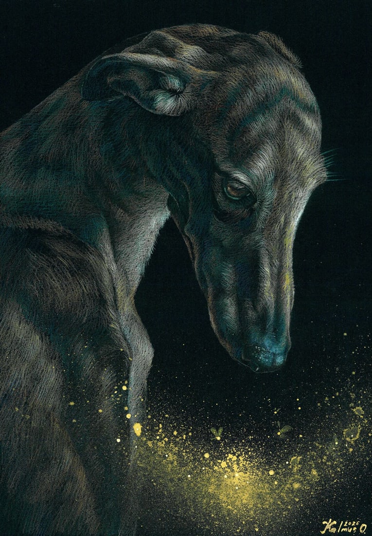 Olena Kalmus (Ukraine,b 1996) mixed media painting: ARTIST: Olena Kalmus (Ukraine, born 1996) TITLE: Greyhound Dog MEDIUM: mixed media on heavy paper CONDITION: Very good. ART SIZE: 12 x 8 inches / 30 x 20