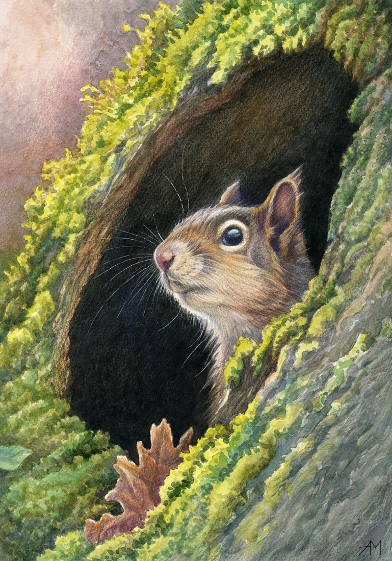 Anastasia Molodchikova (Ukraine,20/21C) pastel painting: ARTIST: Anastasia Molodchikova (Ukraine, 20/21 centuries) TITLE: Squirrel in Tree Hollow MEDIUM: pastel on heavy paper CONDITION: Very good. ART SIZE: 13