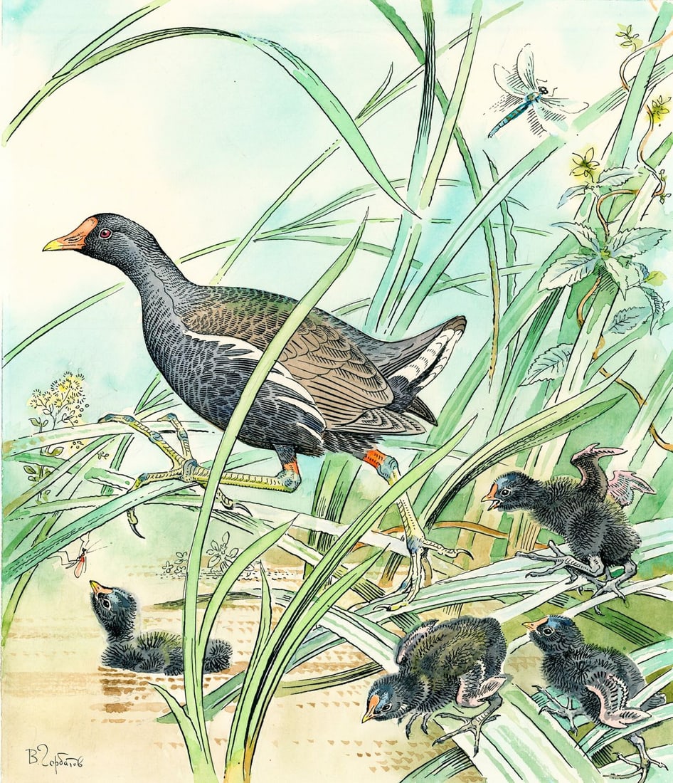 Vadim Gorbatov (Russia,1940-?) watercolor painting (1 of 13)