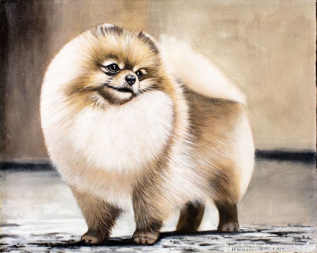 Lyudmila Litvinova (Russia,b 1991) acrylic painting: ARTIST: Lyudmila Litvinova (Russian, born 1991) TITLE: Pomeranian Spitz Dog (titled on verso) MEDIUM: acrylic on canvas CONDITION: Unstretched (In-House stretching available