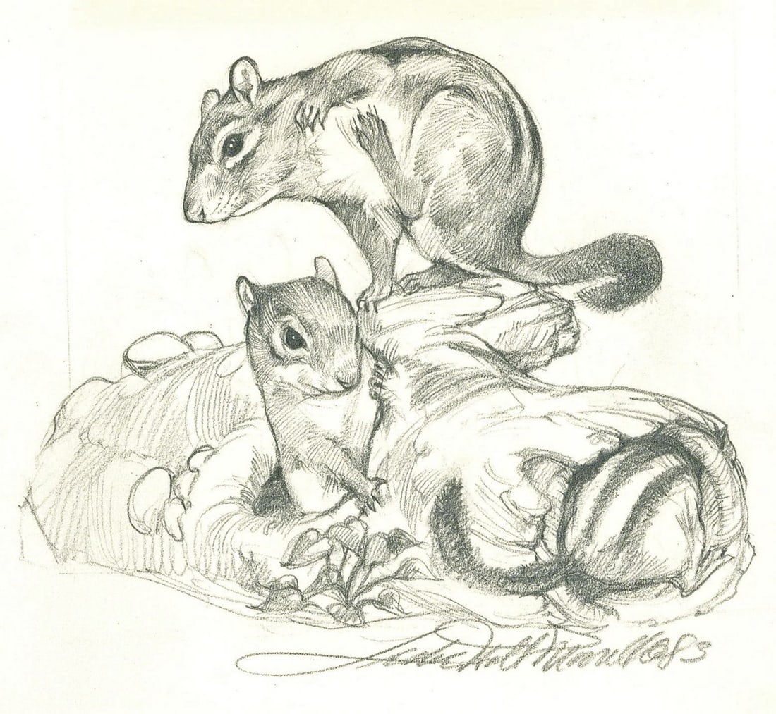Deborah Bell Jarratt (PA,20/21C) graphite painting: ARTIST: Deborah Bell Jarratt (Pennsylvania, 20/21 centuries) TITLE: Two Chipmunks YEAR: 1983 MEDIUM: graphite on heavy paper CONDITION: Minor foxing (jus