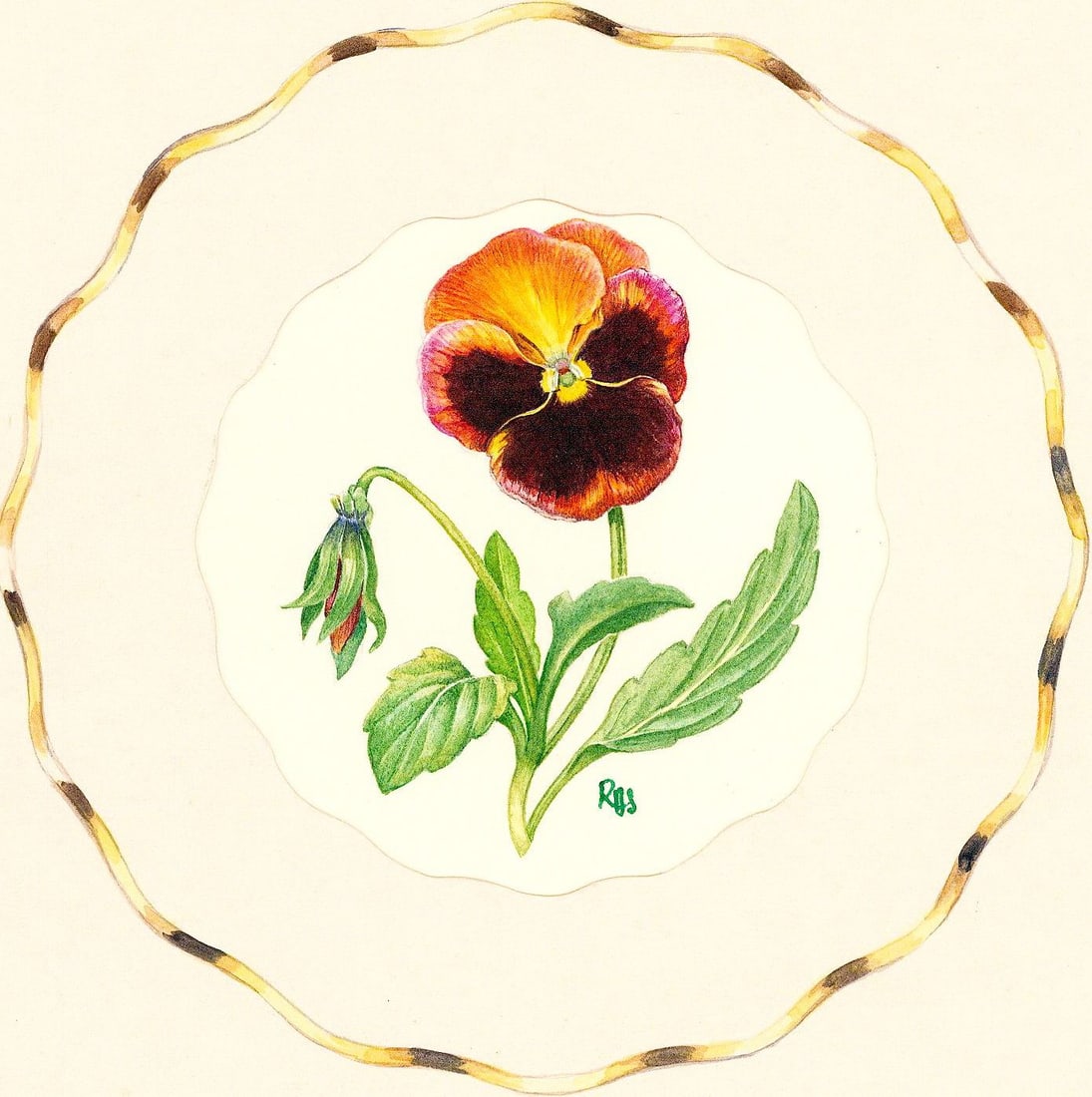 Rosanne Sanders (UK,20/21C) watercolor painting: ARTIST: Rosanne Sanders (United Kingdom, 20/21 centuries) TITLE: Flowers of Spring - Pansy YEAR: 1980s MEDIUM: watercolor on paper. Paper applied to board. CONDIT