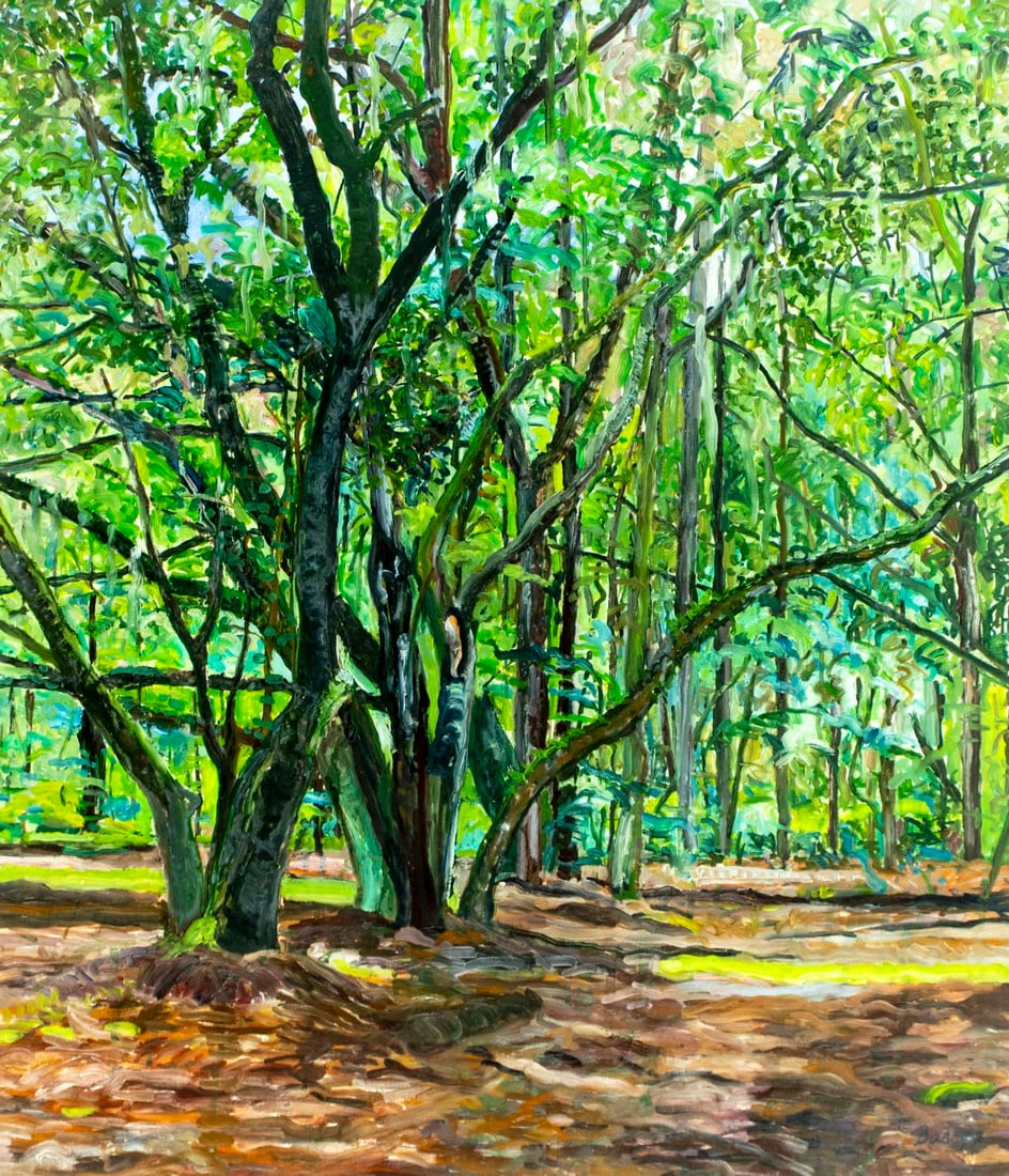 Bass (US,20C) oil painting: ARTIST: Bass (American, 20 century) TITLE: Forest Landscape YEAR: 1979 MEDIUM: oil on paper CONDITION: One small paint loss by the left edge. Framed unde