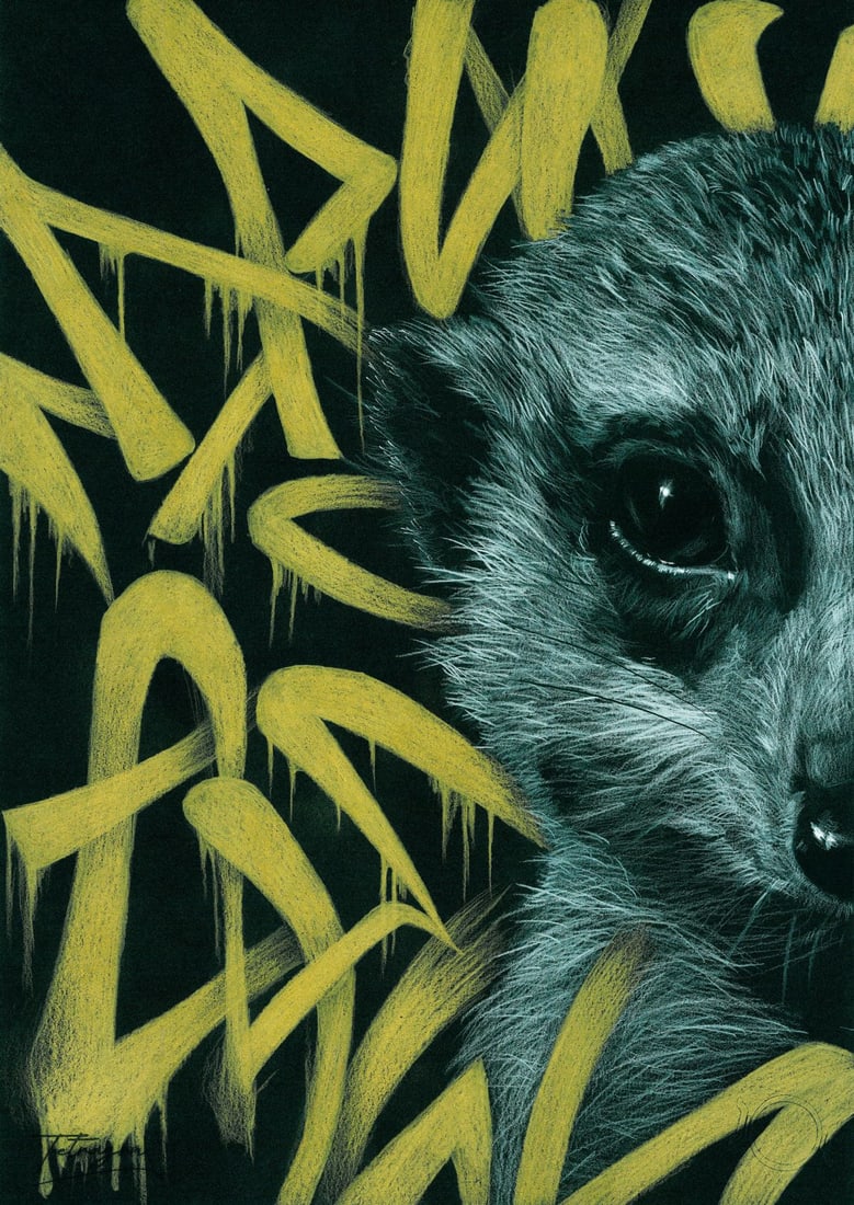 Anna Tetragon (Ukraine,20/21C) pastel painting: ARTIST: Anna Tetragon (Ukraine, 20/21 centuries) TITLE: Meerkat with Graffiti MEDIUM: pastel on heavy paper CONDITION: Very good. ART SIZE: 17 x 12 inche