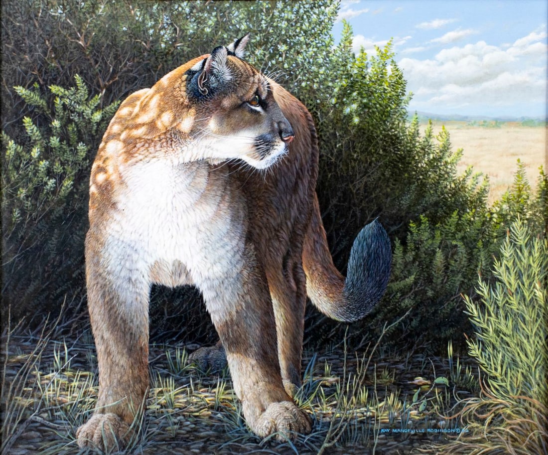 Ray Mandeville Robinson (NY,20C) oil painting: ARTIST: Ray Mandeville Robinson (New York, 20 century) TITLE: Lions Den YEAR: 1992 MEDIUM: oil on board CONDITION: Few minor paint losses. No visible inp