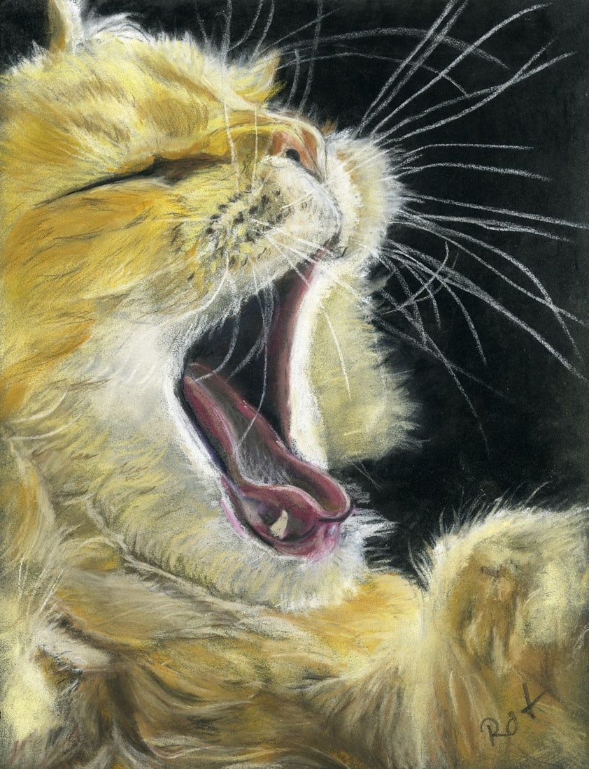 Renate Otholt (German,20C) pastel painting: ARTIST: Renate Otholt (Germany, 20 century) TITLE: Cat - Sodd Tired (titled on verso) YEAR: 2019 MEDIUM: pastel on heavy paper CONDITION: Few minor scrat