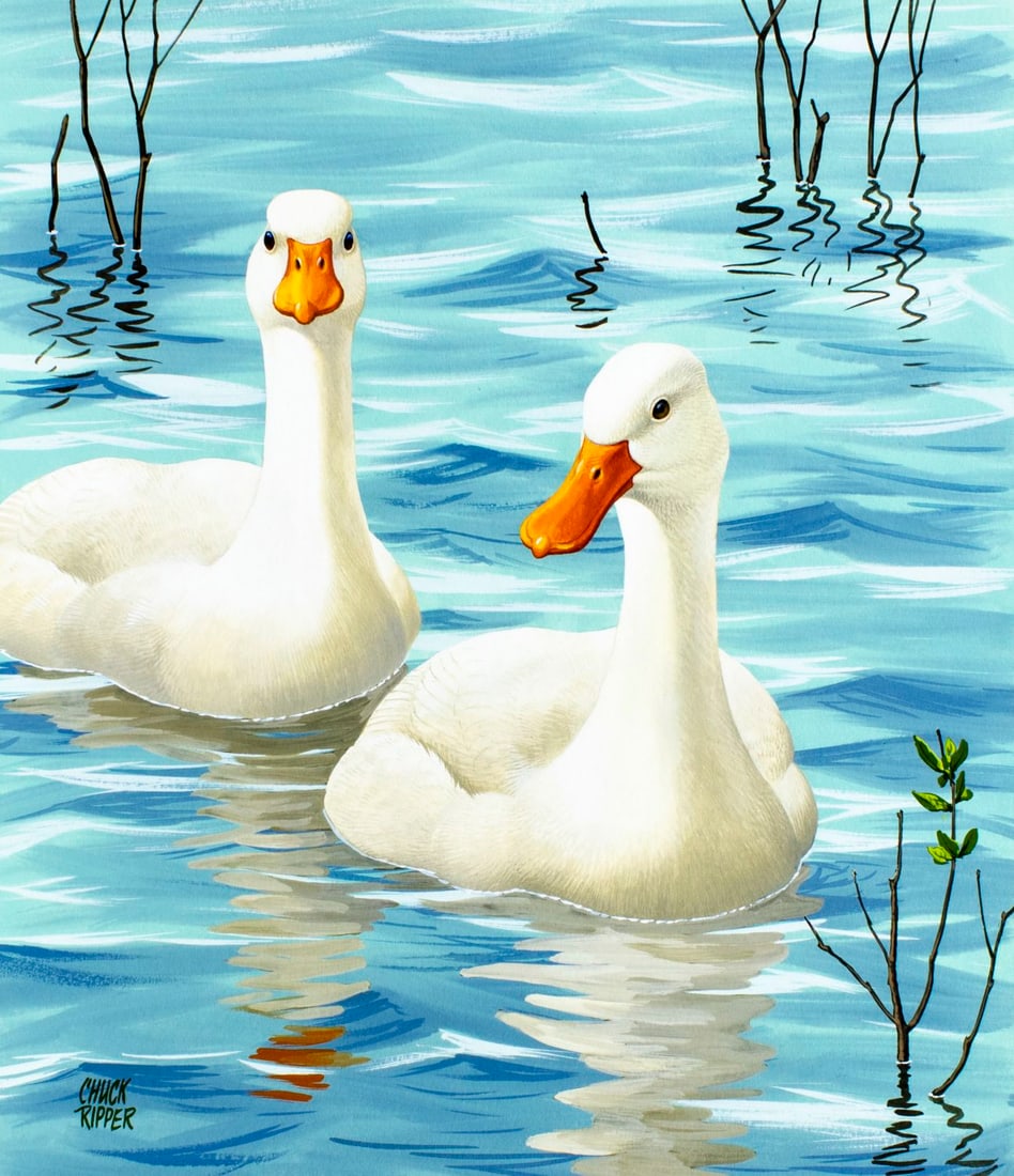 Chuck Ripper (WV,PA,1929-2019) gouache painting: ARTIST: Chuck Ripper (West Virginia, Pennsylvania, 1929 - 2019) TITLE: Coscoroba Swan Bird (titled on verso) YEAR: 2000 MEDIUM: gouache on board CONDITION:
