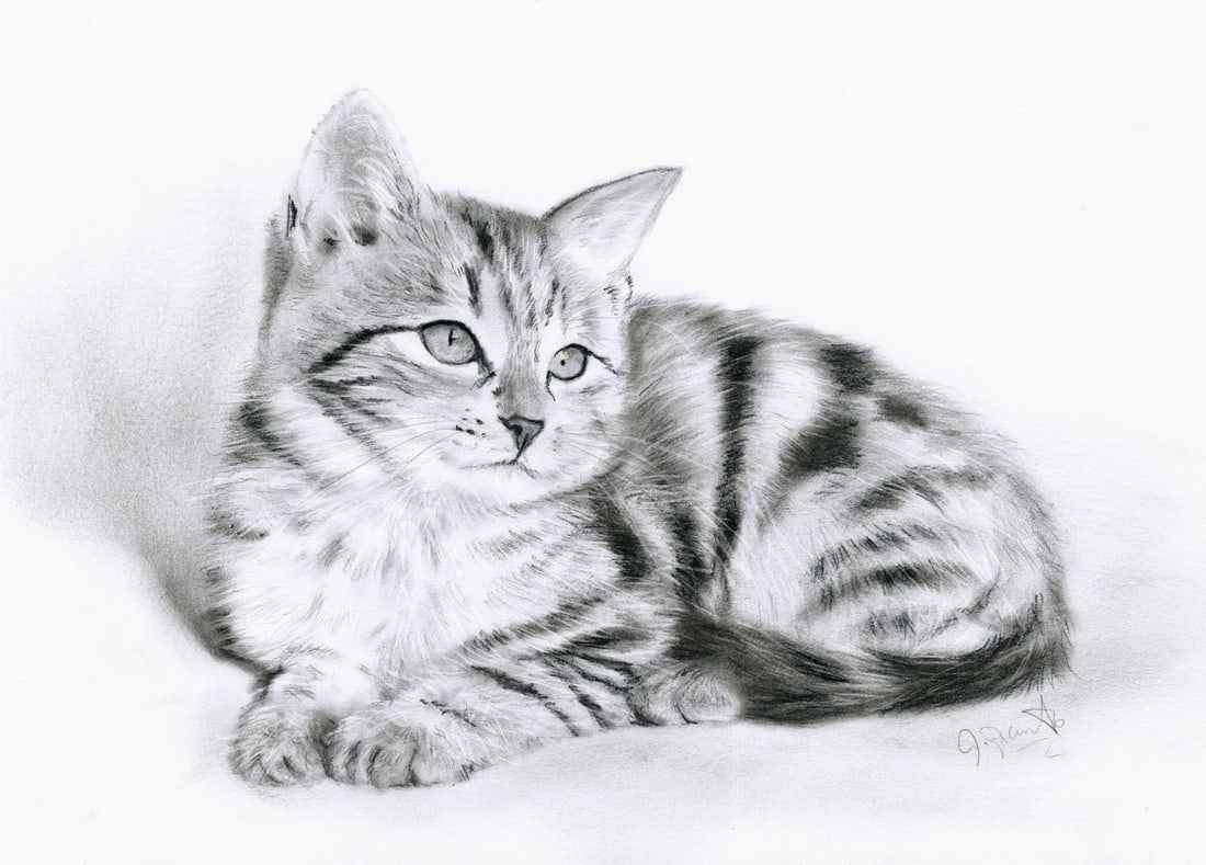 Vintage 20C pastel painting signed: ARTIST: - (20 century) TITLE: Cat MEDIUM: pastel on heavy paper CONDITION: Very good. ART SIZE: 8 x 12 inches / 20 x 30 cm FRAME SIZE: