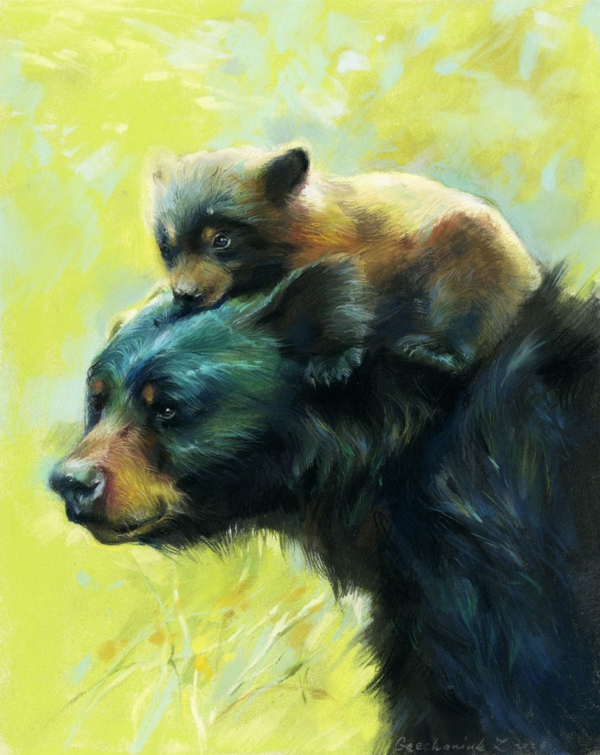Zoya Grechanyuk (Ukraine,b 1977) pastel painting: ARTIST: Zoya Grechanyuk (Ukraine, born 1977) TITLE: Bear with Cub MEDIUM: pastel on heavy paper CONDITION: Very good. ART SIZE: 12 x 10 inches / 30 x 25