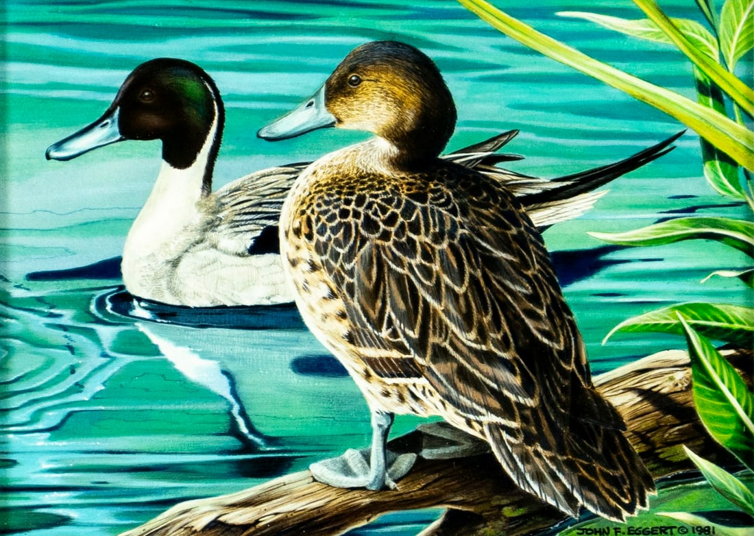 John Eggert (MA,1934-2001) gouache painting: ARTIST: John F Eggert (Massachusetts, 1934 - 2001) TITLE: Ducks YEAR: 1981 MEDIUM: gouache on paper CONDITION: Overall good. Framed under the glass. Wear