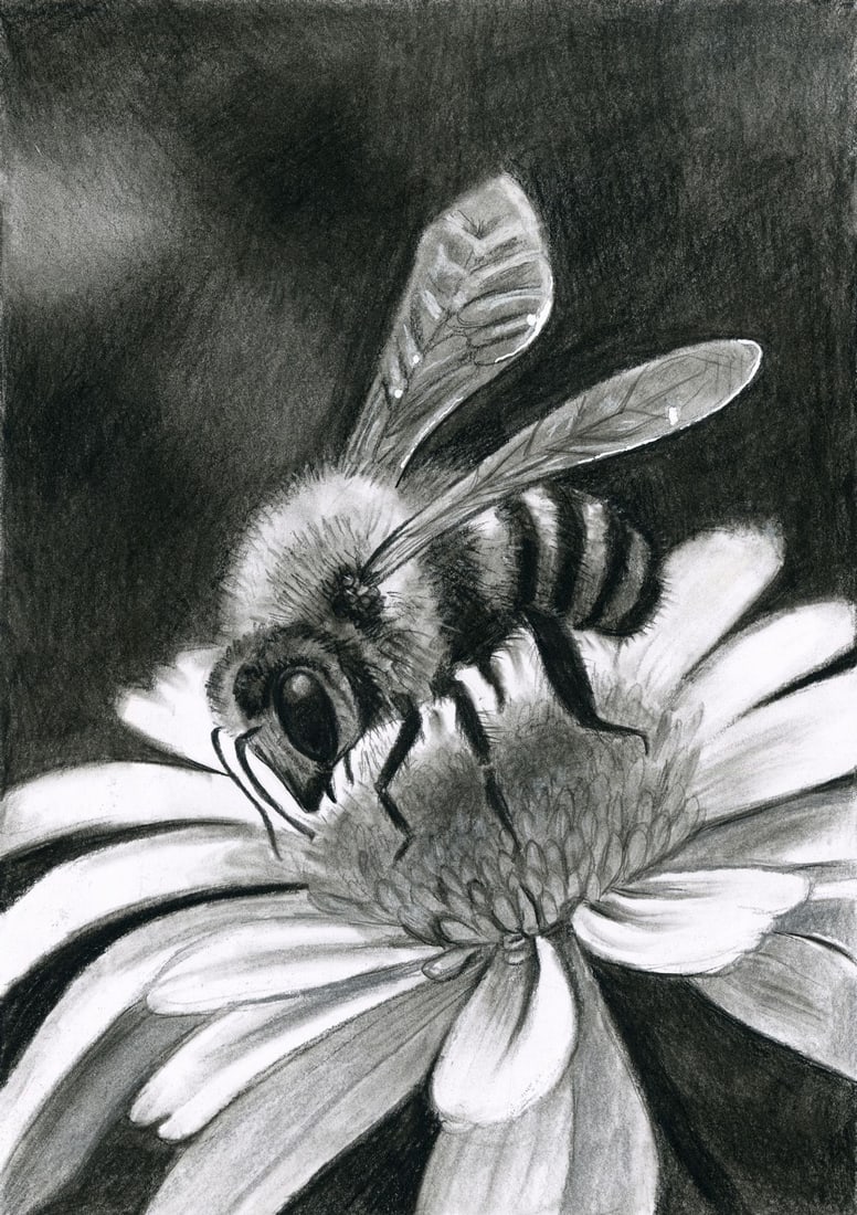 Anna Khoroshun (Ukraine,20/21C) pastel painting: ARTIST: Anna Khoroshun (Ukraine, 20/21 centuries) TITLE: Bee on Flower MEDIUM: pastel on heavy paper CONDITION: Very good. ART SIZE: 12 x 8 inches / 30 x