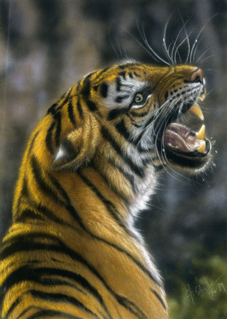 Christina Schulte (German,20/21C) pastel painting: ARTIST: Christina Schulte (Germany, 20/21 centuries) TITLE: Tiger YEAR: 2019 MEDIUM: pastel on board CONDITION: Few minor scratches/paint losses mostly a
